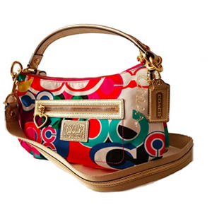 Coach Poppy Crossbody Shoulder Groovy Bag